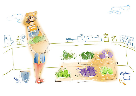 PSD 라이프스타일 여자 밭 채소 일러스트 한명 미소 웃음 사람 빌딩 성인 건물 라이프 농장 농사 모던 모던라이프 모던피플 여자만 여자한명만 성인여자만 성인만 국내일러스트 1 건축물 농업 표정 생활 파일형식