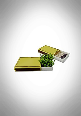 PSD 식물 편집 편집이미지 백그라운드 잎 사람없음 3D 성냥 성냥갑 편집3D 디지털합성 파일형식