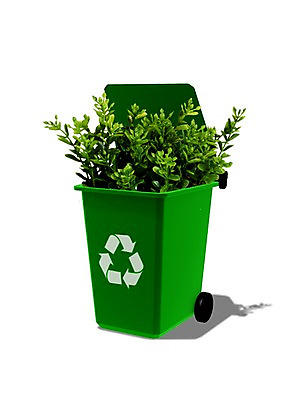 PSD 식물 편집 편집이미지 캠페인 백그라운드 잎 사람없음 3D 자연보호 환경 그린캠페인 재활용 쓰레기통 보호 심볼 환경보전 친환경 순환 순환에너지 편집3D 컨셉 모션 자연 에너지 사회이슈 디지털합성 파일형식