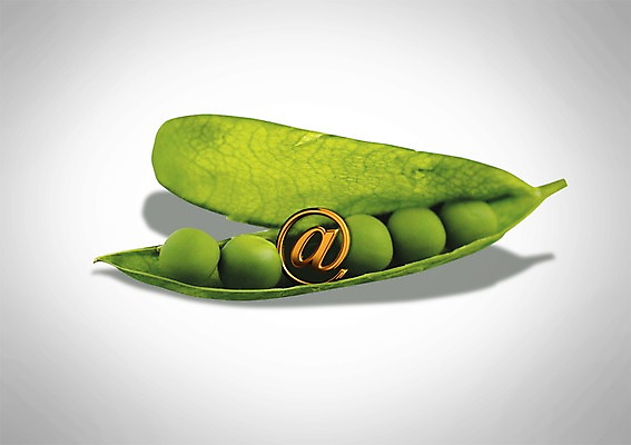 PSD 편집 편집이미지 기호 백그라운드 콩 사람없음 3D 완두콩 골뱅이기호 콩알 편집3D 문자 곡류 디지털합성 파일형식