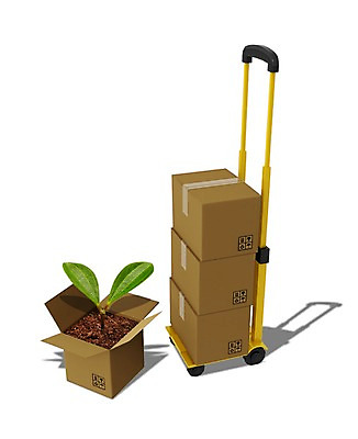 PSD 식물 편집 편집이미지 모래 백그라운드 사람없음 상자 3D 새싹 흙 수레 운송업 배송 택배 소포 택배상자 물류 소화물 편집3D 산업 카트 디지털합성 파일형식