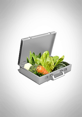 PSD 편집 편집이미지 백그라운드 채소 가방 식재료 사람없음 3D 기밀가방 편집3D 잡화 디지털합성 파일형식