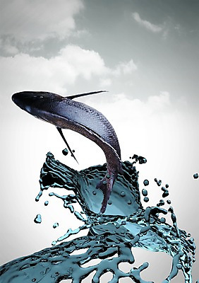 PSD 구름 편집 편집이미지 백그라운드 하늘 어류 사람없음 물 3D 바다동물 물방울 편집3D 자연요소 동물 바다 수중동물 디지털합성 파일형식