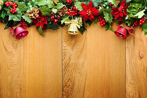 포토 JPG 스튜디오촬영 배너 기념일 꽃 백그라운드 크리스마스 크리스마스용품 안내 프레임 알림판 실내 이벤트 사람없음 장식 종 알림 오브젝트 국내포토 식물 내부 용품 파일형식