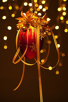 포토 JPG 스튜디오촬영 기념일 꽃 백그라운드 크리스마스 크리스마스용품 조명 실내 이벤트 근접촬영 사람없음 아웃포커스 장식 빛 반짝임 방울 눈송이 구슬 오브젝트 국내포토 식물 뷰포인트 모션 눈_날씨 촬영기법 내부 용품 파일형식