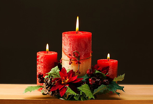 포토 JPG 스튜디오촬영 식물 기념일 꽃 백그라운드 크리스마스 초 촛불 크리스마스용품 실내 이벤트 사람없음 장식 빛 오브젝트 국내포토 내부 용품 파일형식