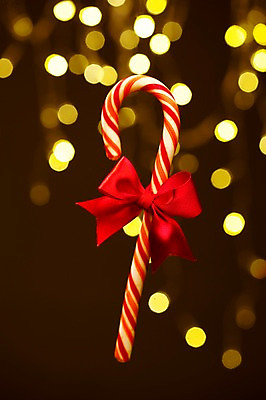 포토 JPG 스튜디오촬영 기념일 리본 백그라운드 크리스마스 지팡이 크리스마스용품 조명 실내 크리스마스선물 선물 이벤트 근접촬영 사람없음 아웃포커스 장식 빛 반짝임 오브젝트 국내포토 뷰포인트 모션 촬영기법 내부 용품 파일형식