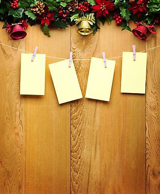 포토 JPG 스튜디오촬영 식물 배너 기념일 꽃 줄 백그라운드 크리스마스 크리스마스용품 안내 사각프레임 프레임 알림판 실내 집게 이벤트 사람없음 장식 종 메모지 알림 오브젝트 국내포토 내부 사각형 사무용품 용품 파일형식