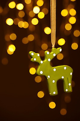 포토 JPG 스튜디오촬영 기념일 크리스마스 크리스마스용품 사슴 조명 실내 이벤트 근접촬영 사람없음 아웃포커스 장식 빛 반짝임 모형 루돌프 오브젝트 국내포토 뷰포인트 포유류 모션 촬영기법 내부 용품 파일형식