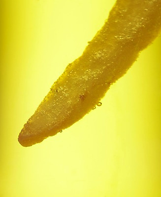 포토 JPG 음식 백그라운드 디저트 감자 패스트푸드 실내 요리 근접촬영 사람없음 거품 튀김 감자튀김 기름 고칼로리 기름기 국내포토 뷰포인트 채소 내부 인스턴트 칼로리 파일형식