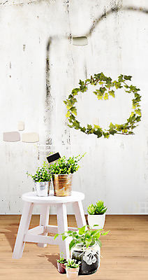 PSD 식물 동물 템플릿 편집이미지 배너 화분 화초 벽 나비 곤충 백그라운드 잎 의자 나뭇잎 안내 프레임 알림판 사람없음 덩굴 알림 이미지편집 가구 파일형식