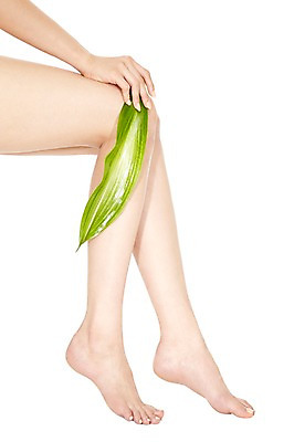 포토 JPG 스튜디오촬영 식물 우먼라이프 라이프스타일 손 여자 포즈 잎 신체 몸매관리 맨발 발 나뭇잎 실내 한명 누끼 사람 앉기 20대 성인 옆모습 신체부위 뷰티 섹시 하반신 다리 매끈함 몸매 각선미 청년만 성인한명만 성인만 국내포토 1 뷰포인트 컨셉 다이어트 모션 청년 내부 생활 감각 파일형식