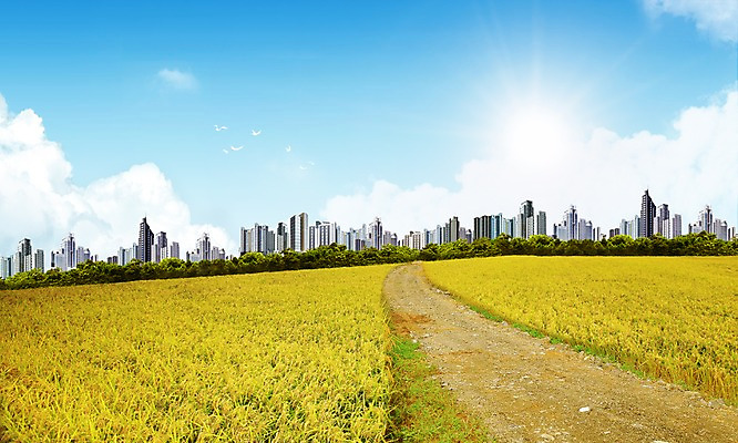 PSD 구름 편집 편집이미지 계절 길 조류 하늘 논 풍경 빌딩 사람없음 건물 3D 벼 가을 들녁 이미지편집 편집3D 자연요소 동물 건축물 농업 곡류 디지털합성 파일형식