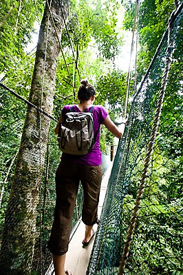 포토 JPG 주간 전신 나무 해외풍경 해외 시설물 여자 아시아 밧줄 스포츠 가방 배낭 자연 레저 한명 서기 사람 풍경 성인 야외 뒷모습 걷기 동남아시아 등산 그물 숲 말레이시아 구름다리 캐노피워크웨이 코타키나발루 가교 여자만 여자한명만 성인여자만 성인만 국내포토 자연요소 식물 1 건축물 잡화 나라 줄 뷰포인트 모션 트래킹 다리_건축물 생태계 파일형식