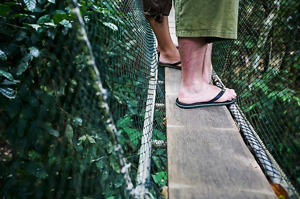포토 JPG 주간 나무 식물 해외풍경 해외 시설물 아시아 신발 바지 발 자연 슬리퍼 서기 사람 풍경 근접촬영 야외 두명 아웃포커스 신체부위 동남아시아 그물 쪼리 말레이시아 구름다리 캐노피워크웨이 코타키나발루 가교 국내포토 자연요소 건축물 나라 뷰포인트 모션 하의 촬영기법 다리_건축물 샌들 생태계 파일형식