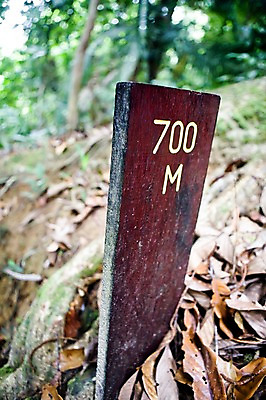 포토 JPG 주간 나무 식물 해외풍경 해외 기호 알파벳 영어 아시아 낙엽 자연 표시 대문자 나뭇잎 거리 풍경 근접촬영 사람없음 야외 아웃포커스 숫자 동남아시아 표지판 판넬 말레이시아 미터 코타키나발루 국내포토 자연요소 문자 나라 뷰포인트 잎 알림판 촬영기법 생태계 파일형식