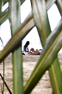 포토 JPG 주간 식물 해외풍경 해외 커플 응시 여자 남자 아시아 모래 바다 잎 자연 휴식 나뭇잎 사람 앉기 풍경 근접촬영 상반신 성인 해변 야외 두명 아웃포커스 모래사장 눕기 동남아시아 말레이시아 코타키나발루 성인만 국내포토 자연요소 시선 나라 뷰포인트 컨셉 관계 모션 촬영기법 생태계 파일형식