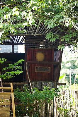 포토 JPG 주간 나무 식물 해외풍경 해외 건축물 아시아 자연 풍경 근접촬영 사람없음 야외 아웃포커스 울타리 정원 동남아시아 표지판 오두막 원두막 나무집 말레이시아 코타키나발루 국내포토 자연요소 건축 나라 뷰포인트 주택 알림판 촬영기법 담장 생태계 파일형식