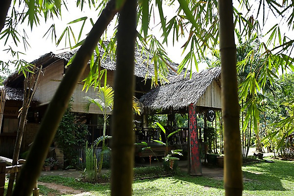 포토 JPG 주간 나무 식물 해외풍경 해외 건축물 건축 아시아 고건축 자연 나뭇잎 주택 풍경 사람없음 야외 건물 동남아시아 대나무 말레이시아 코타키나발루 국내포토 자연요소 나라 잎 생태계 파일형식