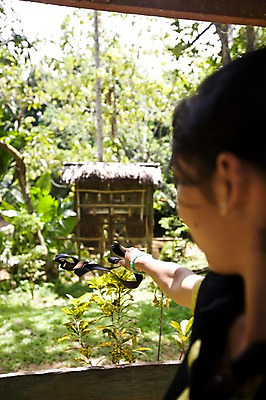 포토 JPG 주간 나무 식물 해외풍경 해외 여자 건축 아시아 문화 자연 놀이 한명 들기 사람 풍경 상반신 성인 야외 옆모습 아웃포커스 장난감 놀이용품 전통놀이 동남아시아 게임 말레이시아 새총 코타키나발루 여자만 여자한명만 성인여자만 성인만 국내포토 자연요소 1 전통 나라 뷰포인트 모션 촬영기법 오브젝트 생태계 파일형식