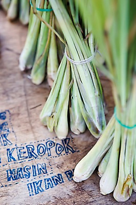 포토 JPG 주간 식물 문자 해외풍경 해외 영어 아시아 백그라운드 채소 근접촬영 사람없음 야외 아웃포커스 단어 동남아시아 묶기 말레이시아 코타키나발루 국내포토 자연요소 나라 뷰포인트 모션 촬영기법 풍경 파일형식