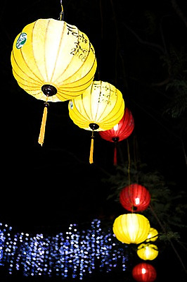 포토 JPG 나무 식물 해외풍경 해외 아시아 백그라운드 야경 자연 조명 사람없음 야외 장식 빛 동남아시아 등불 베트남 후에 국내포토 나라 풍경 야간 생태계 파일형식 풍경_경치