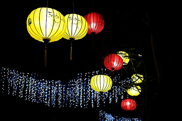 포토 JPG 나무 식물 해외풍경 해외 아시아 배경화면 백그라운드 야경 자연 조명 사람없음 야외 장식 빛 동남아시아 등불 베트남 후에 국내포토 나라 풍경 야간 생태계 파일형식 풍경_경치