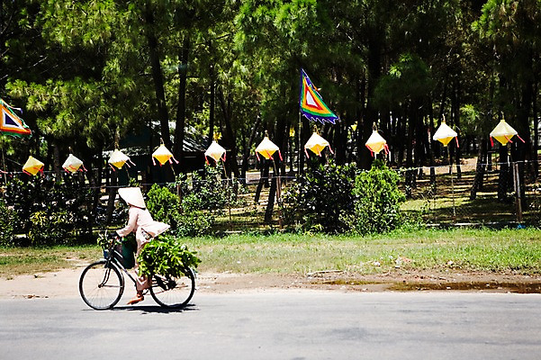 포토 JPG 주간 전신 나무 식물 모자 해외풍경 해외 여자 아시아 교통수단 자연 논 한명 사람 풍경 야외 옆모습 자전거 동남아시아 등불 깃발 장바구니 베트남 후에 여자만 여자한명만 국내포토 자연요소 1 잡화 나라 뷰포인트 교통 농업 조명 쇼핑 바구니 바이크 생태계 파일형식