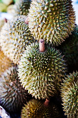 포토 JPG 주간 식물 해외풍경 해외 열매 아시아 백그라운드 과일 사람없음 야외 아웃포커스 동남아시아 여러개 열대과일 베트남 후에 국내포토 자연요소 나라 다수 촬영기법 풍경 파일형식