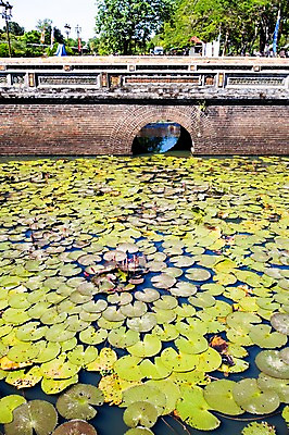 포토 JPG 주간 나무 식물 해외풍경 해외 시설물 건축물 꽃 아시아 자연 연꽃 풍경 사람없음 야외 동남아시아 연못 베트남 석조다리 후에 가교 국내포토 자연요소 건축 나라 생태계 파일형식