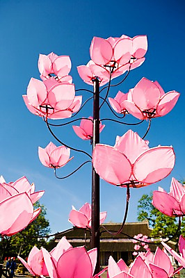 포토 JPG 주간 나무 식물 해외풍경 해외 시설물 건축물 꽃 아시아 백그라운드 꽃무늬 풍경 사람없음 야외 건물 장식 동남아시아 공예품 종이공예 베트남 후에 국내포토 자연요소 건축 나라 무늬 공예 파일형식