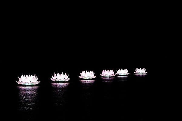 포토 JPG 해외풍경 해외 꽃 아시아 야경 조명 연꽃 사람없음 야외 장식 빛 동남아시아 연못 베트남 후에 국내포토 식물 나라 풍경 야간 파일형식 풍경_경치