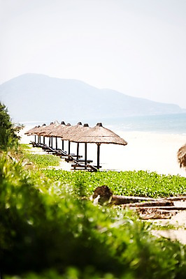 포토 JPG 주간 식물 해외풍경 해외 아시아 바다 의자 자연 산 풍경 해변 사람없음 야외 아웃포커스 동남아시아 안개 파라솔 풀 선베드 베트남 호이안 국내포토 자연요소 나라 가구 날씨 촬영기법 생태계 파일형식