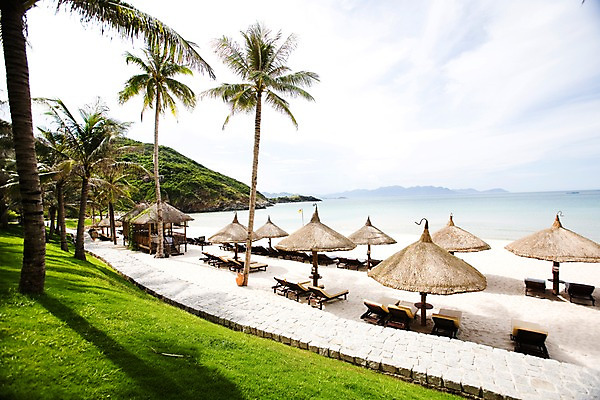 포토 JPG 주간 나무 식물 해외풍경 해외 아시아 모래 바다 의자 자연 풍경 잔디 해변 사람없음 야외 모래사장 야자수 동남아시아 파라솔 오두막 선베드 베트남 원두막 나짱 국내포토 자연요소 나라 가구 생태계 파일형식