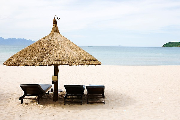 포토 JPG 주간 해외풍경 해외 아시아 모래 바다 섬 의자 자연 풍경 해변 사람없음 야외 모래사장 야자수 동남아시아 파라솔 선베드 베트남 나짱 국내포토 자연요소 나무 나라 가구 생태계 파일형식