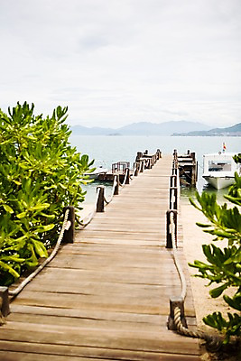 포토 JPG 주간 식물 해외풍경 해외 시설물 아시아 바다 자연 나뭇잎 풍경 사람없음 야외 항구 동남아시아 보트 댐 베트남 나짱 가교 선박 국내포토 자연요소 건축물 공공시설 나라 수상교통 잎 배_교통 교통시설 생태계 파일형식