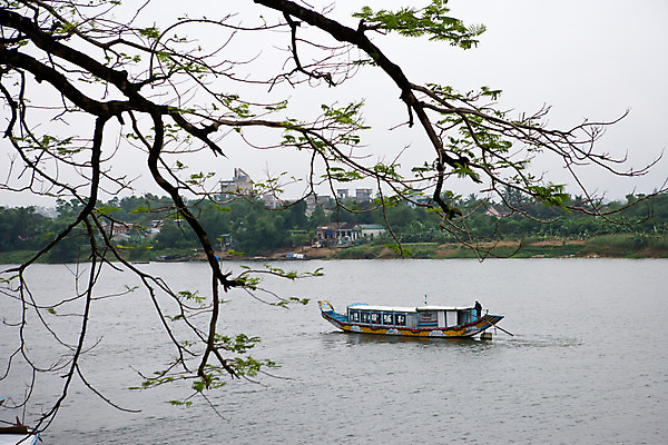 포토 JPG 주간 나무 식물 해외풍경 해외 건축물 아시아 교통수단 바다 자연 풍경 사람없음 야외 건물 강 동남아시아 나뭇가지 유람선 베트남 선박 국내포토 자연요소 건축 나라 교통 수상교통 배_교통 생태계 파일형식