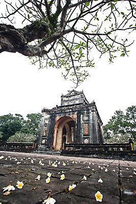 포토 JPG 주간 나무 식물 해외풍경 해외 건축물 건축 꽃잎 아시아 외국문화 잎 유적 유적지 자연 풍경 사람없음 야외 건물 동남아시아 나뭇가지 베트남 국내포토 자연요소 전통 꽃 나라 문화 고건축 생태계 파일형식