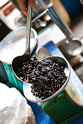 포토 JPG 주간 식물 손 아시아 커피 음식 한손 저울 한명 들기 풍경 야외 아웃포커스 신체부위 원두 무게 국자 베트남 국내포토 자연요소 1 나라 음료 모션 주방용품 촬영기법 사람 동남아시아 파일형식