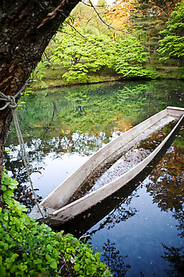포토 JPG 주간 나무 해외풍경 해외 계절 아시아 호수 단풍 낙엽 자연 풍경 사람없음 야외 물 반사 일본 가을 묶기 정박 아키타 선박 국내포토 자연요소 식물 나라 수상교통 잎 배_교통 모션 생태계 파일형식