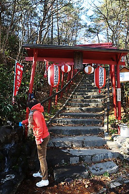 포토 JPG 주간 나무 해외풍경 해외 계절 여자 아시아 낙엽 한명 풍경 성인 야외 계단 일본 가을 깃발 일본어 샘물 군마 이바라키 여자만 여자한명만 성인여자만 성인만 국내포토 자연요소 식물 문자 1 나라 잎 사람 파일형식