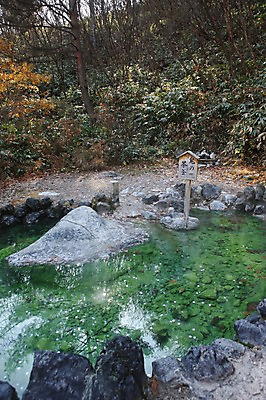 포토 JPG 주간 나무 해외풍경 해외 계절 아시아 자연 풍경 사람없음 야외 물 반사 일본 온천 팻말 가을 돌_바위 바위 표지판 군마 노천 노천온천 이바라키 국내포토 자연요소 식물 나라 프레임 알림판 스파 생태계 파일형식