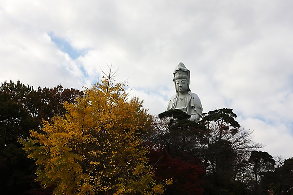 포토 JPG 주간 나무 구름 해외풍경 해외 계절 아시아 종교 로우앵글 단풍 불교 하늘 풍경 사람없음 야외 조각상 일본 가을 불상 군마 관음상 이바라키 국내포토 자연요소 식물 나라 뷰포인트 잎 조형물 관세음보살 파일형식