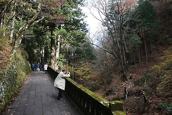 포토 JPG 주간 나무 해외풍경 해외 계절 아시아 길 낙엽 돌담 사람 풍경 여러명 야외 울타리 담장 카메라 일본 사진촬영 산책로 가을 일본인 군마 이바라키 국내포토 자연요소 외국인 식물 나라 다수 잎 동양인 전자제품 촬영 돌_바위 파일형식