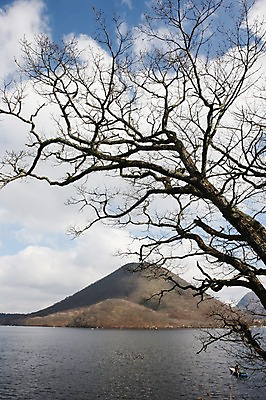 포토 JPG 주간 나무 구름 해외풍경 해외 계절 아시아 호수 겨울 하늘 산 풍경 사람없음 야외 일본 맑음 나뭇가지 앙상함 후지산 군마 이바라키 국내포토 자연요소 식물 나라 날씨 세계문화유산 파일형식
