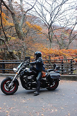 포토 JPG 주간 외국인 나무 해외풍경 해외 계절 남자 아시아 교통수단 단풍 단풍나무 한명 풍경 성인 야외 일본 오토바이 가을 숲 헬멧 일본인 군마 이바라키 남자만 남자한명만 성인남자만 성인만 국내포토 자연요소 식물 1 나라 교통 잎 사람 동양인 인종 바이크 보호장비 파일형식