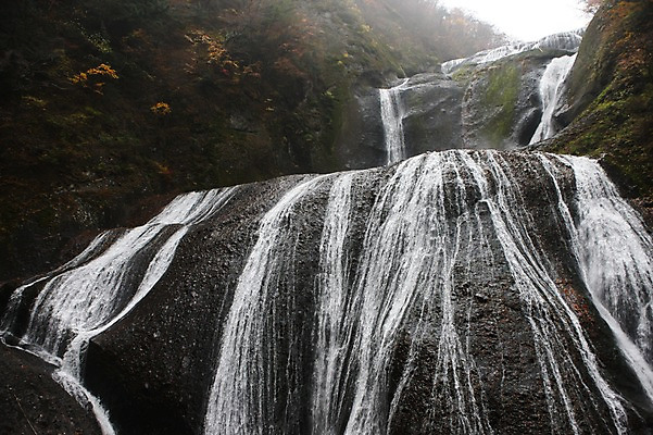 포토 JPG 주간 나무 해외풍경 해외 계절 아시아 단풍 자연 물줄기 풍경 사람없음 야외 관광지 일본 절벽 폭포 가을 돌_바위 바위 숲 군마 명승지 이바라키 후쿠로다폭포 국내포토 자연요소 식물 나라 여행 잎 물 생태계 파일형식