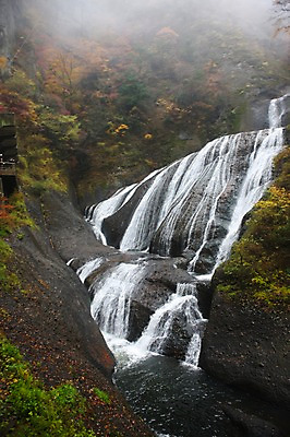 포토 JPG 주간 나무 해외풍경 해외 계절 아시아 단풍 자연 단풍나무 물줄기 풍경 사람없음 야외 관광지 일본 절벽 폭포 안개 가을 돌_바위 바위 숲 군마 명승지 이바라키 후쿠로다폭포 국내포토 자연요소 식물 나라 여행 잎 날씨 물 생태계 파일형식