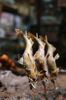 포토 JPG 그릇 식기 접시 음식 백그라운드 어류 요리 근접촬영 사람없음 아웃포커스 꼬챙이 꼬치 구이 생선구이 일본음식 국내포토 뷰포인트 주방용품 촬영기법 수중동물 생선요리 파일형식