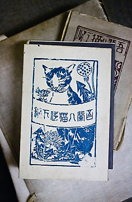 포토 JPG 해외 아시아 백그라운드 탁자 실내 사람없음 책 하이앵글 일본 고양이 빈티지 고서 오브젝트 그림 문학 서점 동물라이프 반려 국내포토 동물 라이프스타일 나라 뷰포인트 가구 컨셉 포유류 유물 내부 반려동물 상점 파일형식